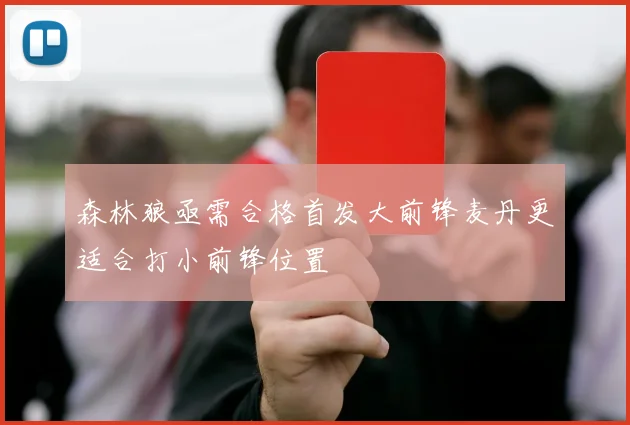 森林狼亟需合格首发大前锋麦丹更适合打小前锋位置