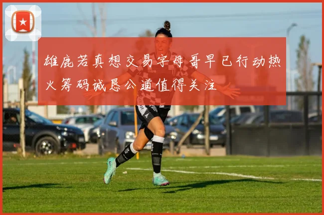 雄鹿若真想交易字母哥早已行动热火筹码诚恳公道值得关注