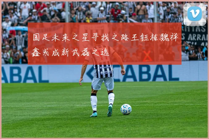 国足未来之星寻找之路王钰栋魏祥鑫或成新武磊之选